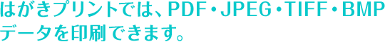 はがきプリントでは、PDF・JPEG・TIFF・BMPデータを印刷できます。